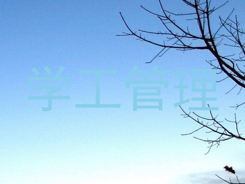 学工管理