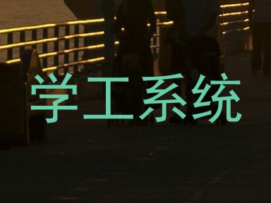学工系统