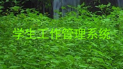 学生工作管理系统