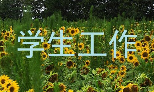 学生工作