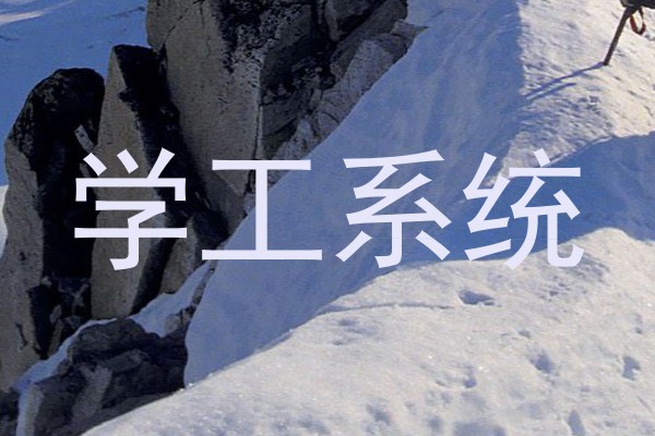 学工系统