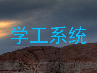 学工系统