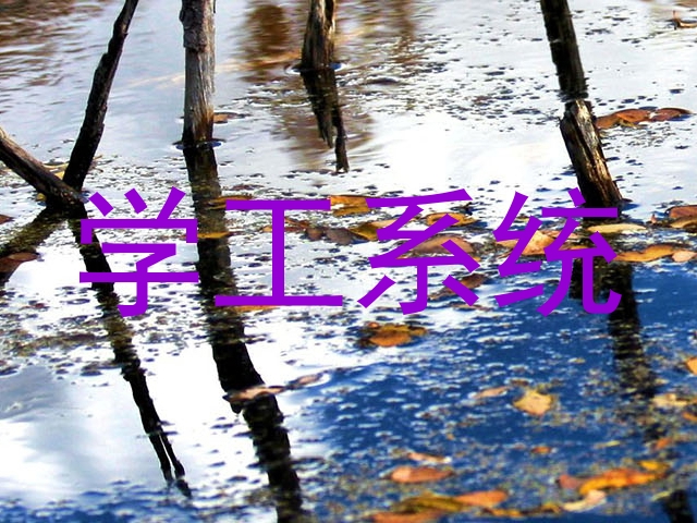学工系统