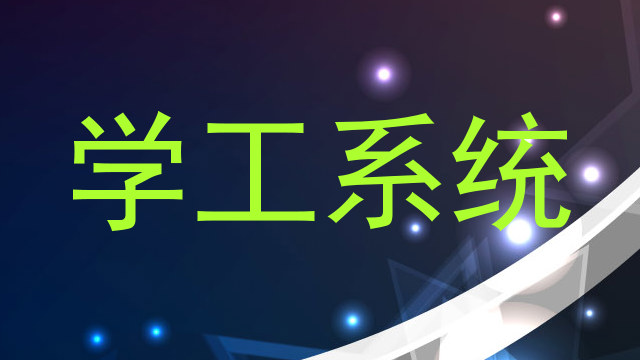 学工系统