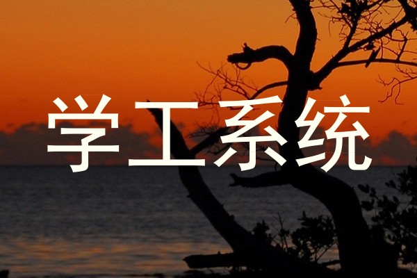 学工系统