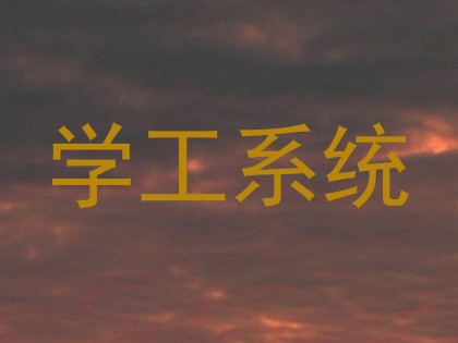学工系统