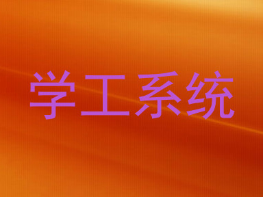 学工系统