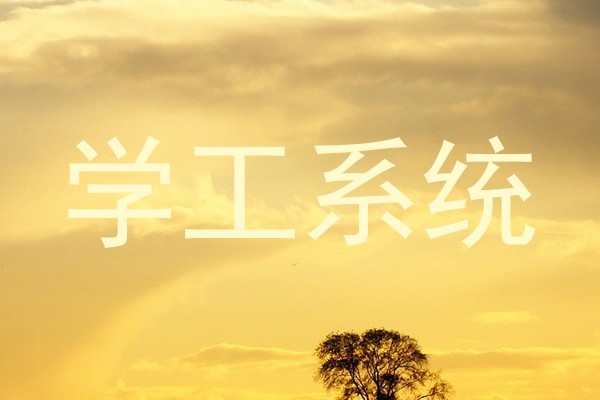 学工系统