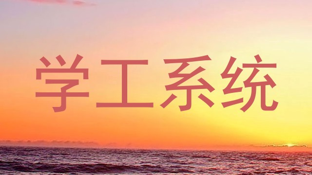 学工系统
