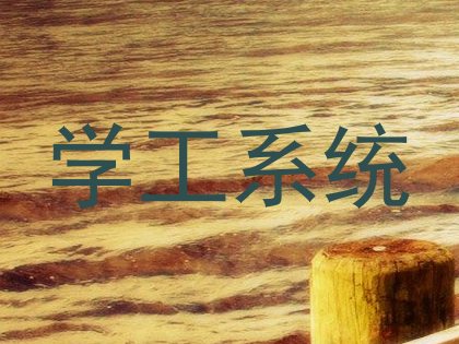 学工系统