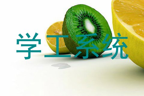学工系统