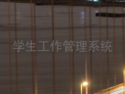 学生工作管理系统
