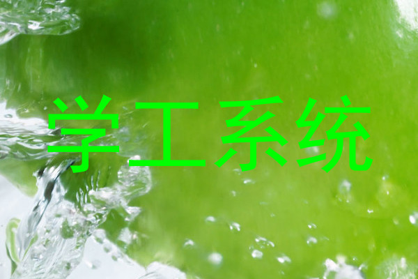 学工系统