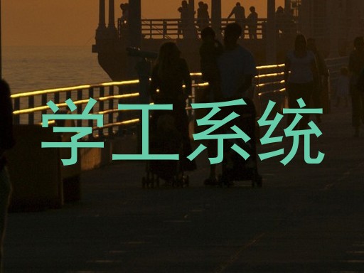 学工系统