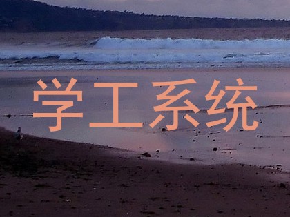 学工系统