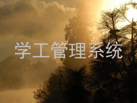 学工管理系统