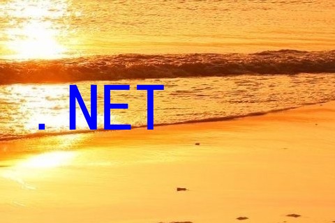 .NET