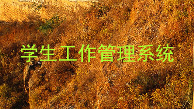 学生工作管理系统