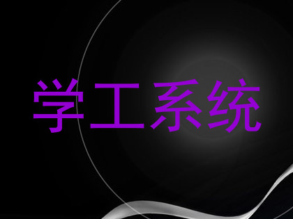 学工系统