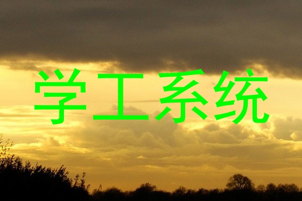 学工系统