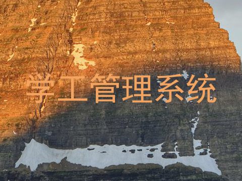 学工管理系统