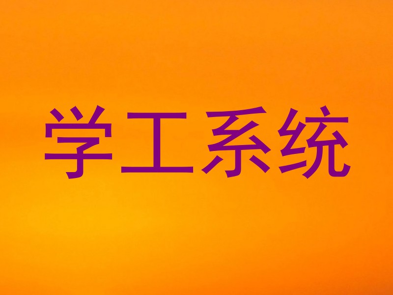 学工系统