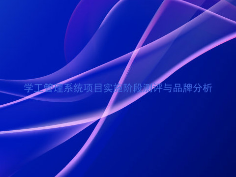 学工管理系统项目实施阶段测评与品牌分析
