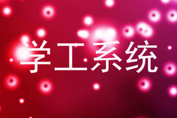 学工系统