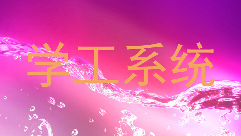 学工系统