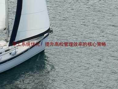 学工系统优化:提升高校管理效率的核心策略