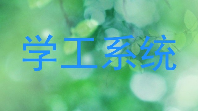学工系统