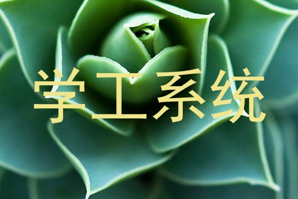 学工系统