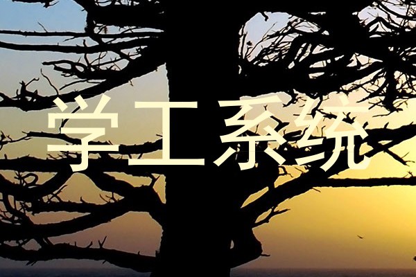 学工系统