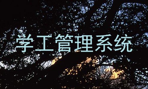 学工管理系统