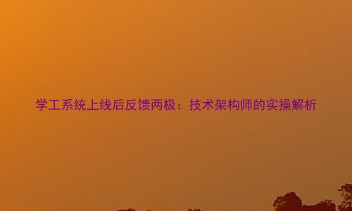 学工系统上线后反馈两极:技术架构师的实操解析