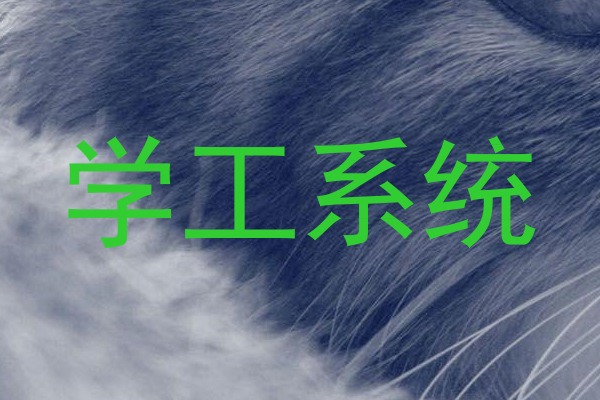 学工系统