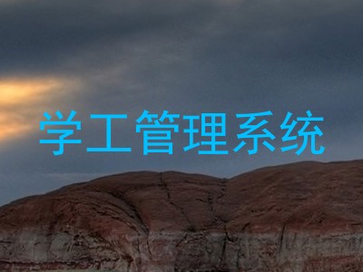 学工管理系统