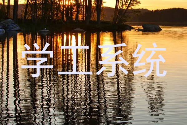 学工系统