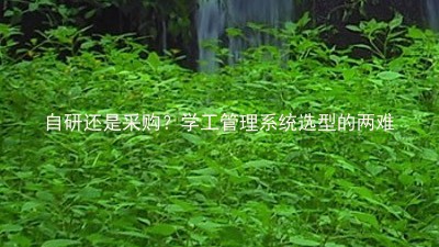 自研还是采购?学工管理系统选型的两难