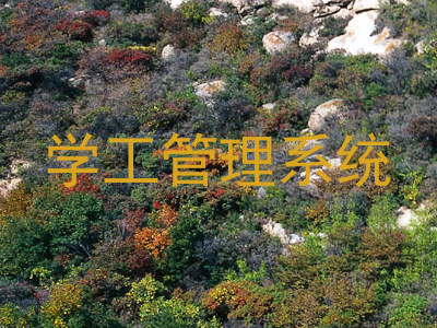 学工管理系统