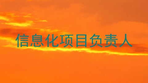 信息化项目负责人