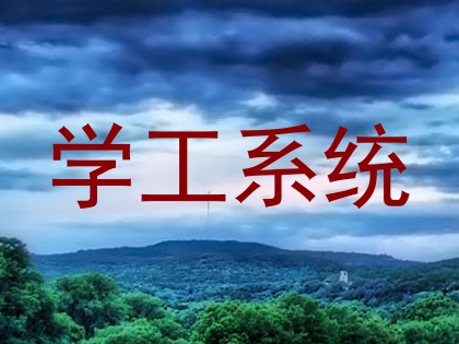 学工系统