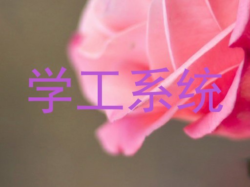学工系统