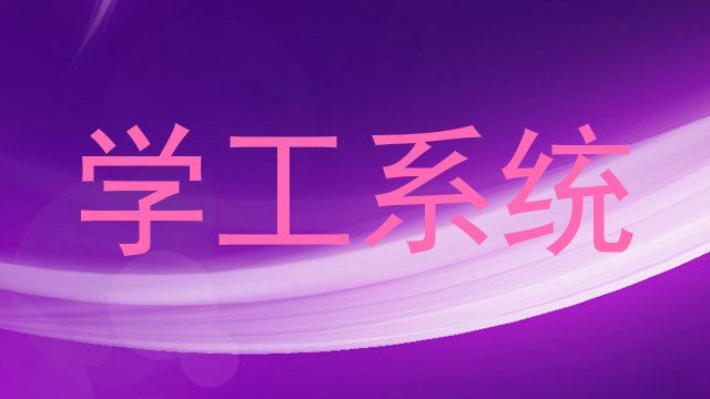 学工系统