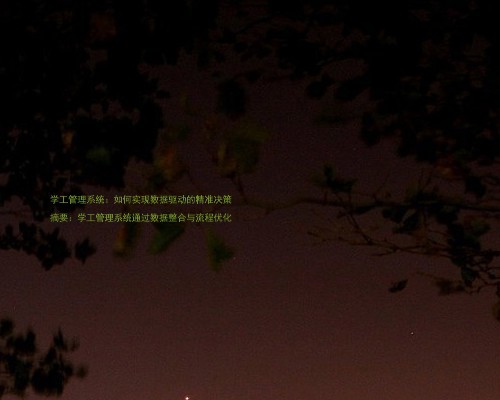学工管理系统:如何实现数据驱动的精准决策
摘要:学工管理系统通过数据整合与流程优化