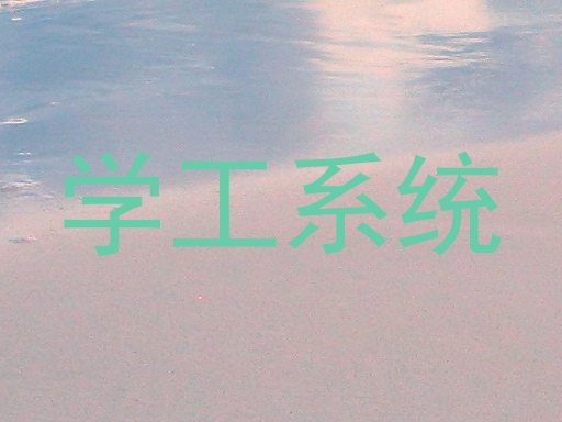 学工系统