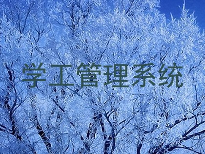 学工管理系统
