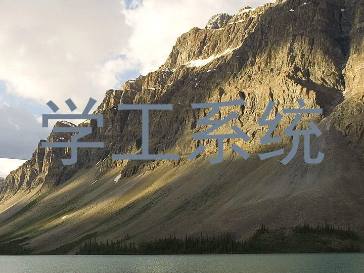 学工系统