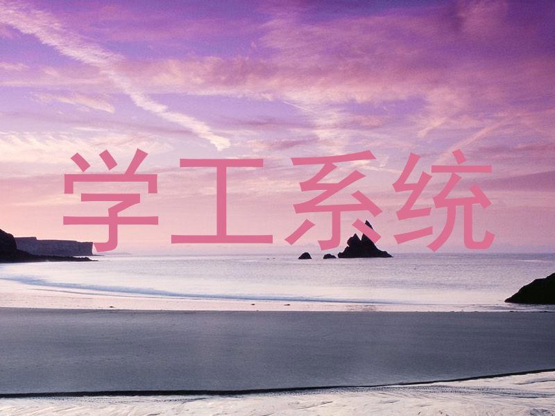 学工系统