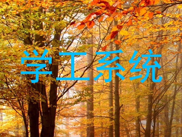 学工系统
